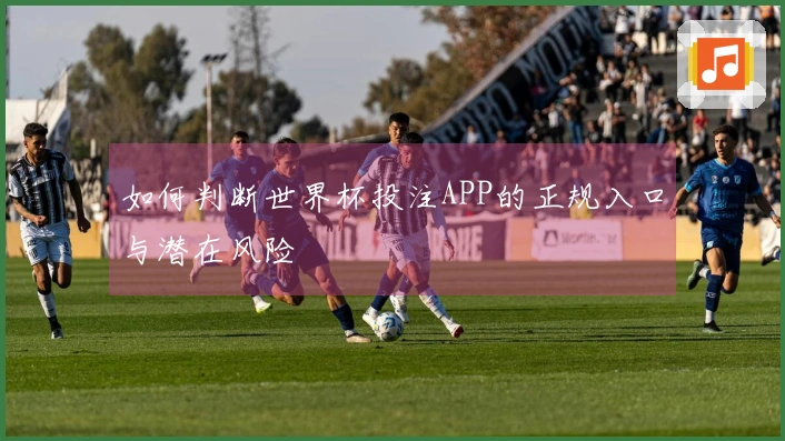 如何判断世界杯投注APP的正规入口与潜在风险