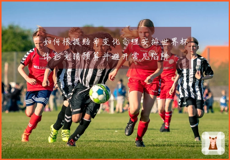 如何根据赔率变化合理安排世界杯体彩竞猜预算并避开常见陷阱
