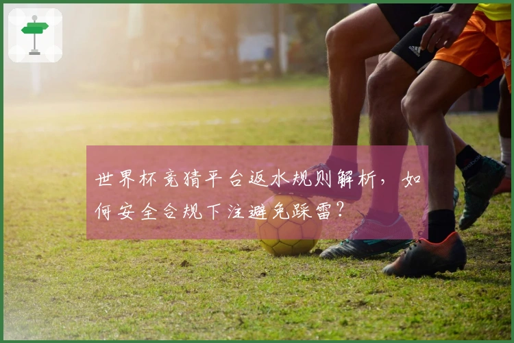 世界杯竞猜平台返水规则解析，如何安全合规下注避免踩雷？
