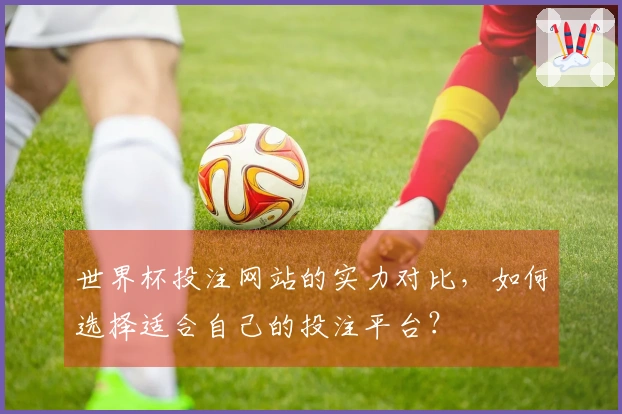 世界杯投注网站的实力对比，如何选择适合自己的投注平台？