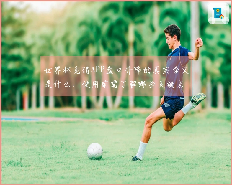 世界杯竞猜APP盘口升降的真实含义是什么，使用前需了解哪些关键点？