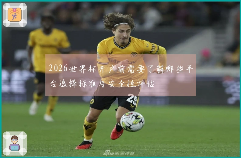 2026世界杯开户前需要了解哪些平台选择标准与安全性评估