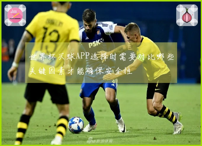 世界杯买球APP选择时需要对比哪些关键因素才能确保安全性