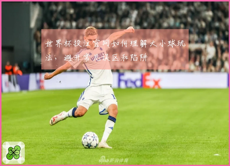 世界杯投注官网如何理解大小球玩法，避开常见误区和陷阱