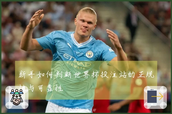 新手如何判断世界杯投注站的正规性与可靠性