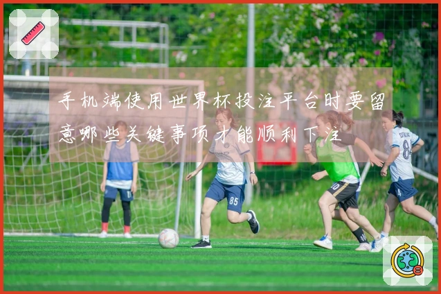 手机端使用世界杯投注平台时要留意哪些关键事项才能顺利下注