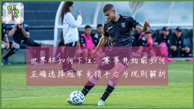 世界杯如何下注：赛事开始前如何正确选择冠军竞猜平台与规则解析
