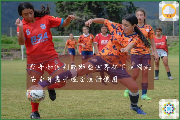 新手如何判断哪些世界杯下注网站安全可靠并适合注册使用