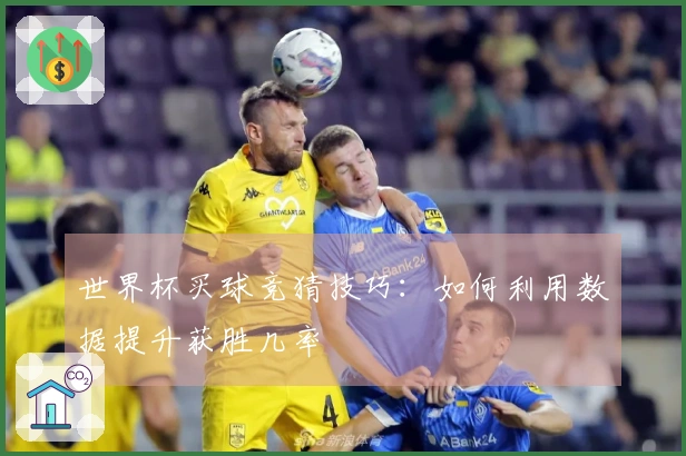 世界杯买球竞猜技巧：如何利用数据提升获胜几率