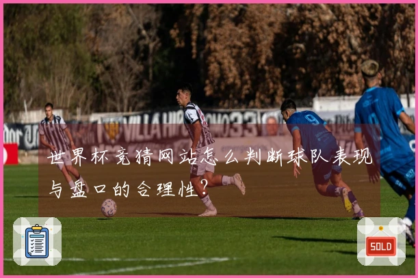 世界杯竞猜网站怎么判断球队表现与盘口的合理性？