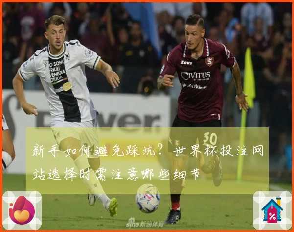 新手如何避免踩坑？世界杯投注网站选择时需注意哪些细节