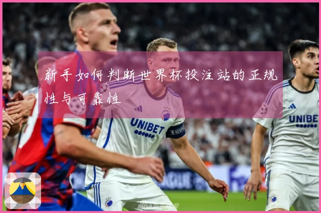 新手如何判断世界杯投注站的正规性与可靠性