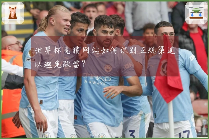 世界杯竞猜网站如何识别正规渠道以避免踩雷？