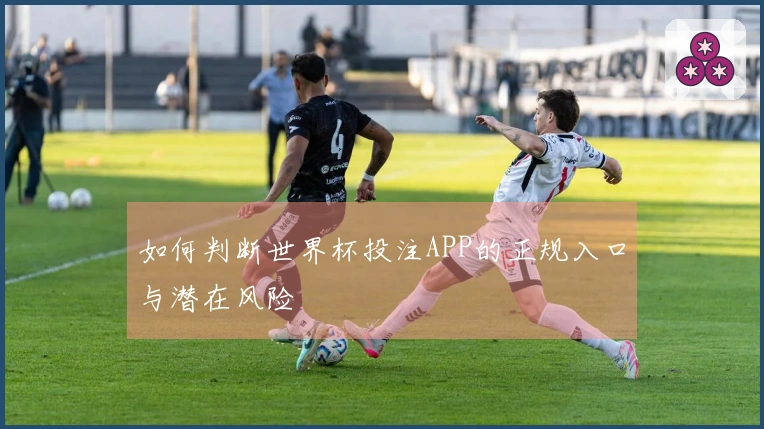如何判断世界杯投注APP的正规入口与潜在风险