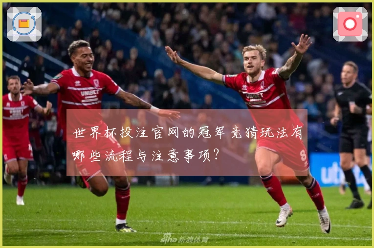 世界杯投注官网的冠军竞猜玩法有哪些流程与注意事项？