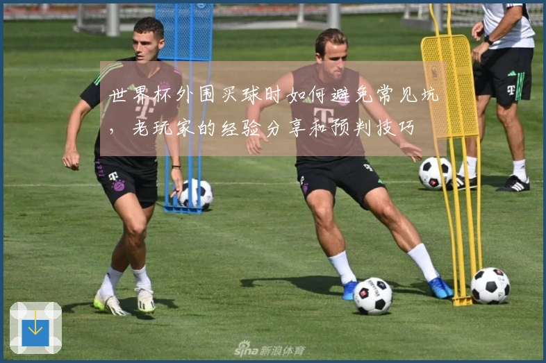世界杯外围买球时如何避免常见坑，老玩家的经验分享和预判技巧