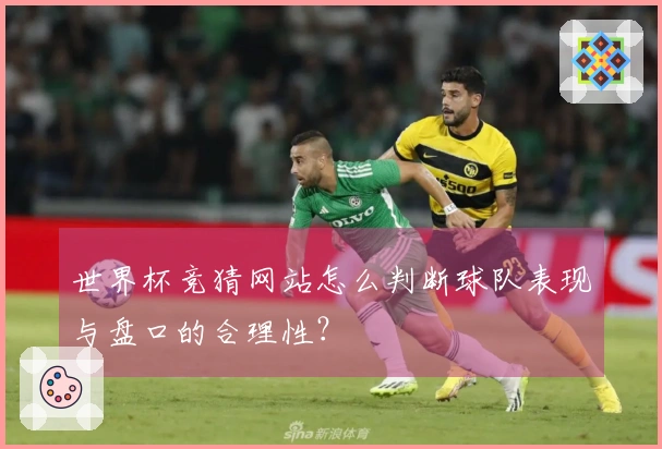 世界杯竞猜网站怎么判断球队表现与盘口的合理性？