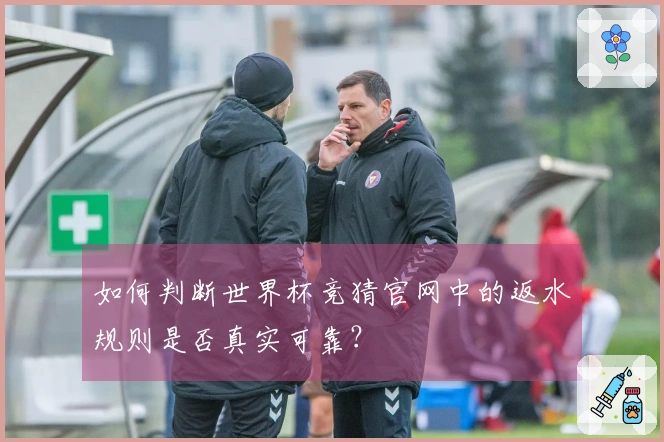 如何判断世界杯竞猜官网中的返水规则是否真实可靠？
