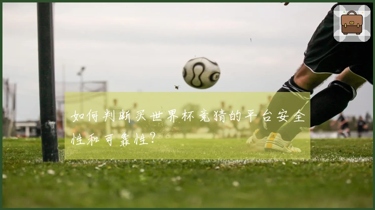 如何判断买世界杯竞猜的平台安全性和可靠性？