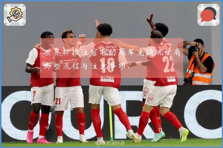 世界杯投注官网的冠军竞猜玩法有哪些流程与注意事项？